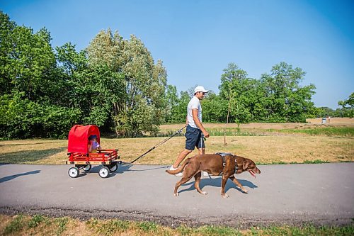 MIKAELA MACKENZIE / WINNIPEG FREE PRESS

Gordon Templeton and his dog, Nala, demonstrate the dog restraint and leash system while pulling Naomi Templeton (two) in a wagon at King's Park in Winnipeg on Friday, July 16, 2021. For Dave Sanderson story.
Winnipeg Free Press 2021.