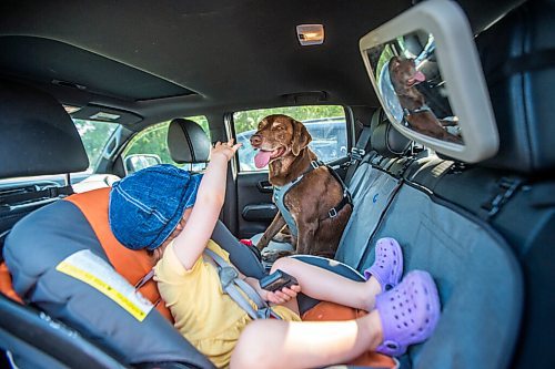 MIKAELA MACKENZIE / WINNIPEG FREE PRESS

Chocolate lab Nala and Naomi Templeton (two) demonstrate the Optimus Gear Co. dog restraint and leash system in Winnipeg on Friday, July 16, 2021. For Dave Sanderson story.
Winnipeg Free Press 2021.