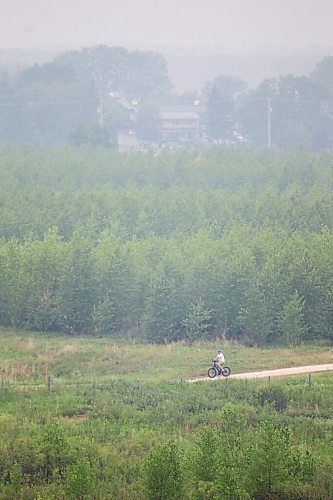 MIKAELA MACKENZIE / WINNIPEG FREE PRESS

A cyclist uses the Bison Butte mountain bike trails on a smoky day in Winnipeg on Monday, July 19, 2021. Standup.
Winnipeg Free Press 2021.