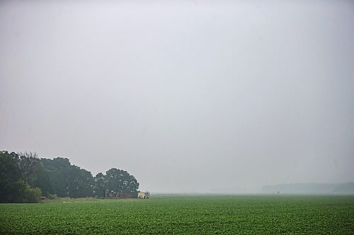 MIKAELA MACKENZIE / WINNIPEG FREE PRESS

Rain falls onto smoky fields near St. Adolphe on Wednesday, July 21, 2021. Standup.
Winnipeg Free Press 2021.