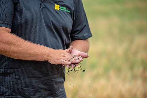 ALEX LUPUL / WINNIPEG FREE PRESS  

Farmer Curtis McRae is photographed rubbing dry soil between his hands in his wheat field in St. Andrews on Thursday, July 22, 2021.