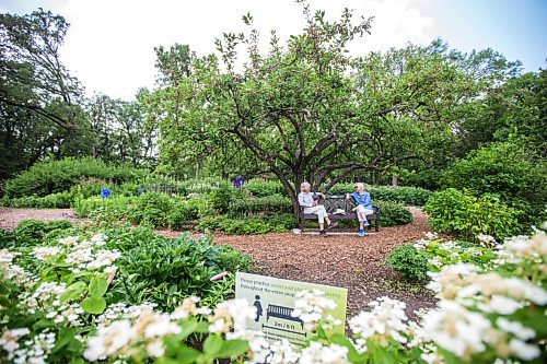 MIKAELA MACKENZIE / WINNIPEG FREE PRESS

Gail Leach (left) and Elaine Goldie enjoy a visit in the English Gardens at Assiniboine Park in Winnipeg on Monday, July 26, 2021. Standup.
Winnipeg Free Press 2021.