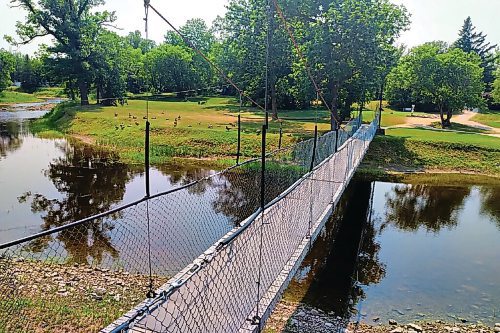 Canstar Community News A healthy flock of Canada geese stand guard at the bridge which crosses the Brokenhead River at Rivers Edge Golf Course in Beausejour.