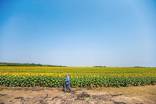 MIKAELA MACKENZIE / WINNIPEG FREE PRESS

Maurice Regaudie, who's driving from Saskatchewan to Ontario, takes photos of sunflower fields at the longitudinal centre of Canada highway pullout on Tuesday, July 27, 2021.  Standup.
Winnipeg Free Press 2021.