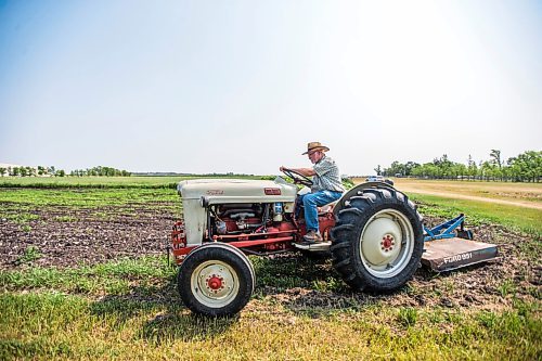 MIKAELA MACKENZIE / WINNIPEG FREE PRESS

Jerry Kroeker mows weeds down before tilling in his 1953 For Golden Jubilee tractor at a new community garden in Steinbach on Tuesday, July 27, 2021. This is the garden's first year operating, and they already have 20 plots going. Standup.
Winnipeg Free Press 2021.
