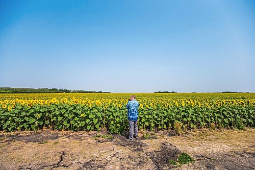 MIKAELA MACKENZIE / WINNIPEG FREE PRESS

Maurice Regaudie, who's driving from Saskatchewan to Ontario, takes photos of sunflower fields at the longitudinal centre of Canada highway pullout on Tuesday, July 27, 2021.  Standup.
Winnipeg Free Press 2021.