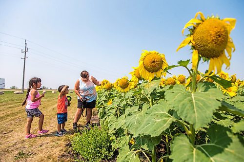 MIKAELA MACKENZIE / WINNIPEG FREE PRESS

Iris (five), Dominic (three), and Kristina Gratton admire sunflower fields at the longitudinal centre of Canada highway pullout on Tuesday, July 27, 2021.  Standup.
Winnipeg Free Press 2021.