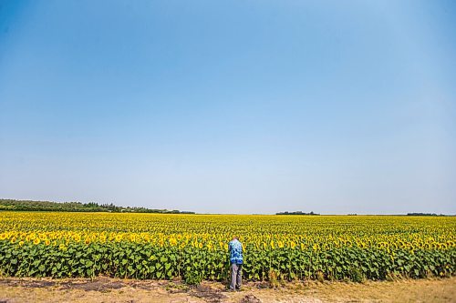 MIKAELA MACKENZIE / WINNIPEG FREE PRESS

Maurice Regaudie, who's driving from Saskatchewan to Ontario, takes photos of sunflower fields at the longitudinal centre of Canada highway pullout on Tuesday, July 27, 2021.  Standup.
Winnipeg Free Press 2021.