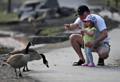 BORIS.MINKEVICH@FREEPRESS.MB.CA 100414 BORIS MINKEVICH / WINNIPEG FREE PRESS St. Vital Park. Craig Kozlowski and his daughter Amelia,2, feed the geese.