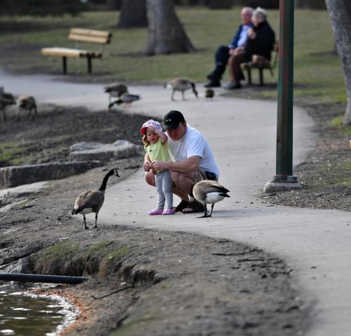 BORIS.MINKEVICH@FREEPRESS.MB.CA 100414 BORIS MINKEVICH / WINNIPEG FREE PRESS St. Vital Park. Craig Kozlowski and his daughter Amelia,2, feed the geese.