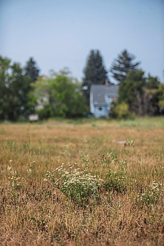 MIKAELA MACKENZIE / WINNIPEG FREE PRESS

An empty lot on the site of the St. Boniface Industrial School (this would have been the back yard area behind the school) in Winnipeg on Thursday, July 29, 2021. For Dylan story.
Winnipeg Free Press 2021.