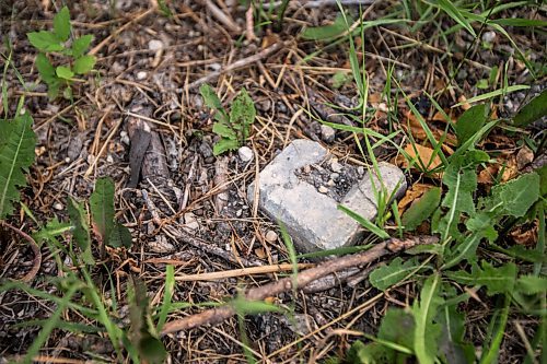 MIKAELA MACKENZIE / WINNIPEG FREE PRESS

Broken bricks poke out from the earth on the site of the St. Boniface Industrial School (this area would have been the front yard originally) in Winnipeg on Thursday, July 29, 2021. For Dylan story.
Winnipeg Free Press 2021.