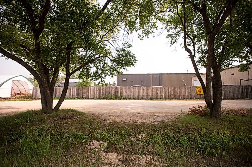 MIKAELA MACKENZIE / WINNIPEG FREE PRESS

The site of the St. Boniface Industrial School (the front of the building was likely between the two trees) in Winnipeg on Thursday, July 29, 2021. For Dylan story.
Winnipeg Free Press 2021.