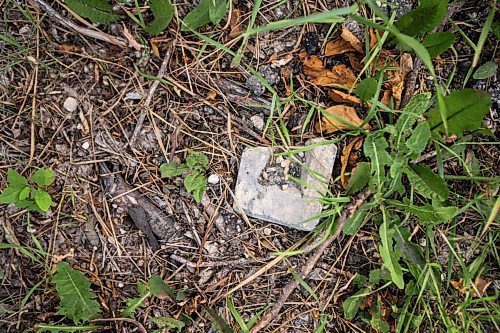 MIKAELA MACKENZIE / WINNIPEG FREE PRESS

Broken bricks poke out from the earth on the site of the St. Boniface Industrial School (this area would have been the front yard originally) in Winnipeg on Thursday, July 29, 2021. For Dylan story.
Winnipeg Free Press 2021.