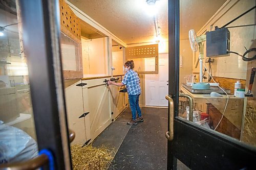 MIKAELA MACKENZIE / WINNIPEG FREE PRESS

Judy Stearns checks on cubs in the barn at Black Bear Rescue Manitoba near Stonewall on Wednesday, July 7, 2021. For Eva Wasney story.
Winnipeg Free Press 2021.