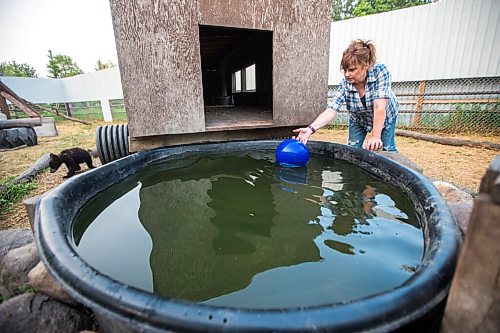 MIKAELA MACKENZIE / WINNIPEG FREE PRESS

Judy Stearns cleans an enclosure at Black Bear Rescue Manitoba near Stonewall on Wednesday, July 7, 2021. For Eva Wasney story.
Winnipeg Free Press 2021.