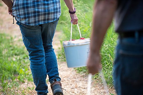 MIKAELA MACKENZIE / WINNIPEG FREE PRESS

Judy and Roger Stearns head out to feed the cubs with buckets of expired produce at Black Bear Rescue Manitoba near Stonewall on Wednesday, July 7, 2021. For Eva Wasney story.
Winnipeg Free Press 2021.