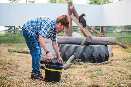 MIKAELA MACKENZIE / WINNIPEG FREE PRESS

Judy Stearns cleans an enclosure at Black Bear Rescue Manitoba near Stonewall on Wednesday, July 7, 2021. For Eva Wasney story.
Winnipeg Free Press 2021.