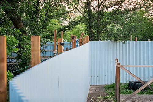 MIKAELA MACKENZIE / WINNIPEG FREE PRESS

Judy Stearns throws expired produce into the enclosure while remaining hidden from the cubs at Black Bear Rescue Manitoba near Stonewall on Wednesday, July 7, 2021. For Eva Wasney story.
Winnipeg Free Press 2021.