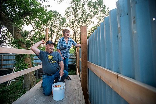 MIKAELA MACKENZIE / WINNIPEG FREE PRESS

Judy and Roger Stearns throw expired produce into the enclosure while remaining hidden from the cubs at Black Bear Rescue Manitoba near Stonewall on Wednesday, July 7, 2021. For Eva Wasney story.
Winnipeg Free Press 2021.