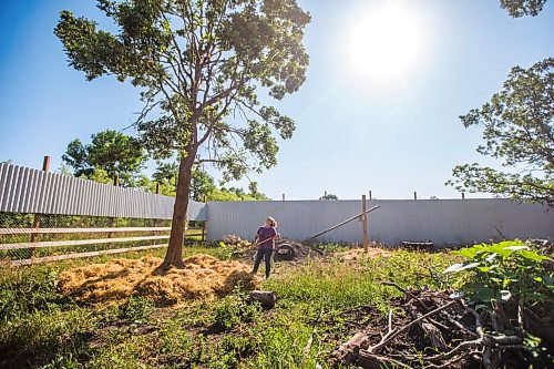 MIKAELA MACKENZIE / WINNIPEG FREE PRESS

Judy Stearns spreads hay under a tree to cushion possible falls in the east enclosure at Black Bear Rescue Manitoba near Stonewall on Sunday, July 25, 2021. For Eva story.
Winnipeg Free Press 2021.