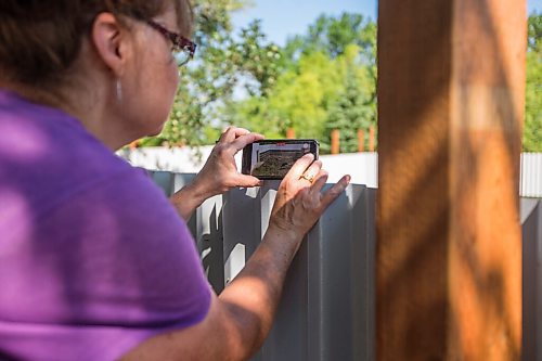 MIKAELA MACKENZIE / WINNIPEG FREE PRESS

Judy Stearns films as bear cubs enter and explore the east enclosure at Black Bear Rescue Manitoba near Stonewall on Sunday, July 25, 2021. For Eva story.
Winnipeg Free Press 2021.