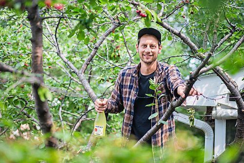 MIKAELA MACKENZIE / WINNIPEG FREE PRESS

Jesse Oberman, owner of Next Friend Cider, poses for a portrait with a bottle of his cider in a cherry tree (he picks fruit from unused trees in backyards to make the natural cider) in Winnipeg on Friday, July 30, 2021. For Ben Sigurson story.
Winnipeg Free Press 2021.