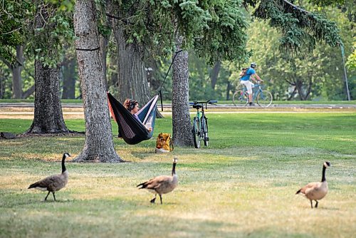 ALEX LUPUL / WINNIPEG FREE PRESS

Standup

Canadian geese walk in front of Martina Turchyn while she sits in her hammock on the Legislative Building grounds in Winnipeg on Tuesday, August 3, 2021.