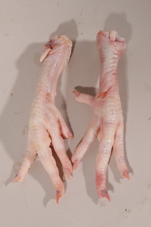 BORIS.MINKEVICH@FREEPRESS.MB.CA  100420 BORIS MINKEVICH / WINNIPEG FREE PRESS Mystery Food - Chicken feet
