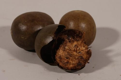 BORIS.MINKEVICH@FREEPRESS.MB.CA  100420 BORIS MINKEVICH / WINNIPEG FREE PRESS Mystery Food - dried fruit balls. Lo Han Kuo