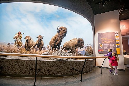 MIKAELA MACKENZIE / WINNIPEG FREE PRESS

Sophia (seven) and Sadie (four) Hildebrand check out the bison at the entrance on their visit the Manitoba Museum on opening day in Winnipeg on Thursday, Aug. 5, 2021. Standup.
Winnipeg Free Press 2021.