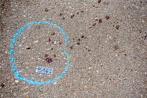 ALEX LUPUL / WINNIPEG FREE PRESS  

Blood droplets are photographed outside of 722 Maryland Street in Winnipeg, where a suspected homicide occurred.