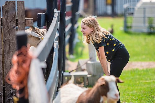 MIKAELA MACKENZIE / WINNIPEG FREE PRESS

Macyn Comeault takes a look at the goats at Lil' Steps Wellness Farm in St. Malo on Friday, Aug. 6, 2021. For Sabrina story.
Winnipeg Free Press 2021.