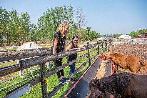 MIKAELA MACKENZIE / WINNIPEG FREE PRESS

Macyn Comeault (left) and Lucy Sloan take a look at the miniature horses at Lil' Steps Wellness Farm in St. Malo on Friday, Aug. 6, 2021. For Sabrina story.
Winnipeg Free Press 2021.