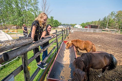 MIKAELA MACKENZIE / WINNIPEG FREE PRESS

Macyn Comeault (left) and Lucy Sloan take a look at the miniature horses at Lil' Steps Wellness Farm in St. Malo on Friday, Aug. 6, 2021. For Sabrina story.
Winnipeg Free Press 2021.