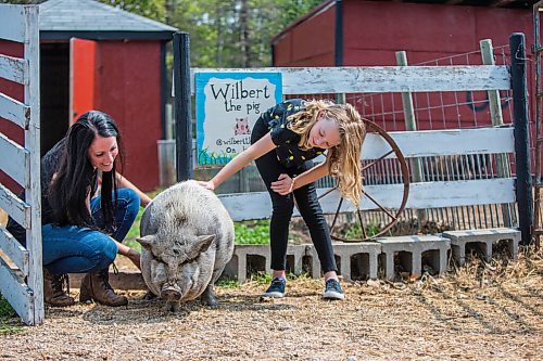 MIKAELA MACKENZIE / WINNIPEG FREE PRESS

Lucy Sloan (left) and Macyn Comeault pet Wilbert the pig at Lil' Steps Wellness Farm in St. Malo on Friday, Aug. 6, 2021. For Sabrina story.
Winnipeg Free Press 2021.