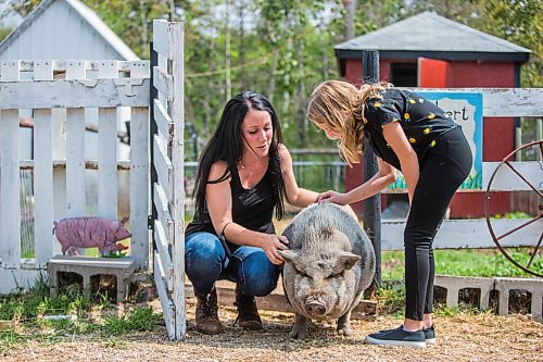 MIKAELA MACKENZIE / WINNIPEG FREE PRESS

Lucy Sloan (left) and Macyn Comeault pet Wilbert the pig at Lil' Steps Wellness Farm in St. Malo on Friday, Aug. 6, 2021. For Sabrina story.
Winnipeg Free Press 2021.