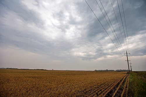 MIKAELA MACKENZIE / WINNIPEG FREE PRESS

Thunderclouds, a rare sight in this unusually dry summer, grace the sky above fields south of Winnipeg on Monday, Aug. 9, 2021. Standup.
Winnipeg Free Press 2021.