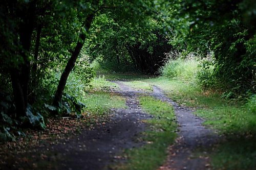 JOHN WOODS / WINNIPEG FREE PRESS
A trail along the Red River and Churchill Drive where several assaults have occurred recently in Winnipeg Monday, August 9, 2021. Police say the trail may not be safe for women.
