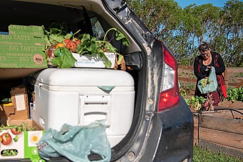 ALEX LUPUL / WINNIPEG FREE PRESS  

Paulette Côté is photographed picking vegetables in Howden on Wednesday, August 11, 2021.

Reporter: Janine LeGal