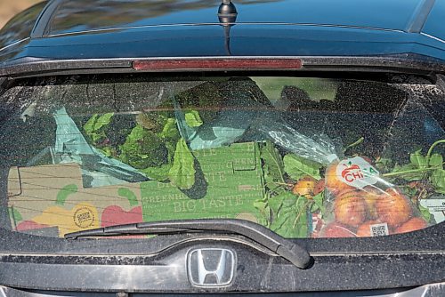 ALEX LUPUL / WINNIPEG FREE PRESS  

Vegetables picked by volunteers fill up the back of Paulette Côté and Peter Czehryn's car in Howden on Wednesday, August 11, 2021.

Reporter: Janine LeGal