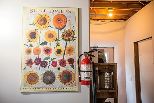MIKAELA MACKENZIE / WINNIPEG FREE PRESS

A poster with sunflower varieties in David Braun's sunflower seed press room at Ploughshares Community Farm near Beausejour on Thursday, Aug. 12, 2021. For Jen story.
Winnipeg Free Press 2021.