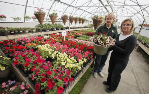 BORIS.MINKEVICH@FREEPRESS.MB.CA  100426 BORIS MINKEVICH / WINNIPEG FREE PRESS T & T Seeds. Workers Kathi Johnson and Barbara Lecker pose for a photo with some flowers.