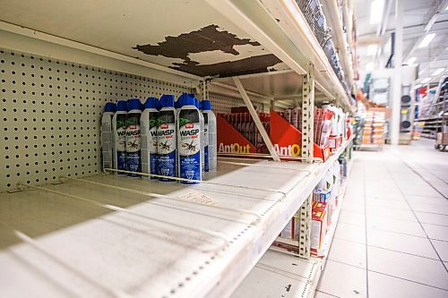 MIKAELA MACKENZIE / WINNIPEG FREE PRESS

The near cleaned-out shelves of wasp deterrents at Canadian Tire in Winnipeg on Wednesday, Aug. 18, 2021.  For Cody story.
Winnipeg Free Press 2021.