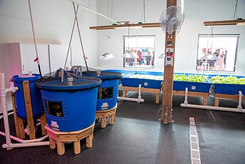 ALEX LUPUL / WINNIPEG FREE PRESS  

Manitoba Building Trades Institute's Aquaponic Greenhouse is photographed on August 18, 2021.