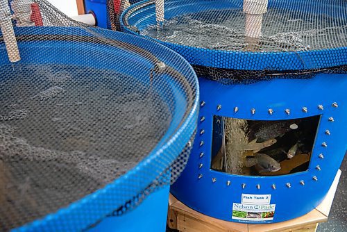 ALEX LUPUL / WINNIPEG FREE PRESS  

Manitoba Building Trades Institute's Aquaponic Greenhouse is photographed on August 18, 2021.