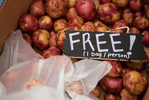 ALEX LUPUL / WINNIPEG FREE PRESS  

Potatoes are one of the vegetables offered as part of Fireweed's Veggie Van program on August 19, 2021. The program offers affordable local produce to those in lower income neighbourhoods.