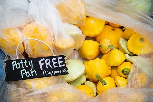 ALEX LUPUL / WINNIPEG FREE PRESS  

Patty pans are one of the vegetables offered as part of Fireweed's Veggie Van program on August 19, 2021. The program offers affordable local produce to those in lower income neighbourhoods.