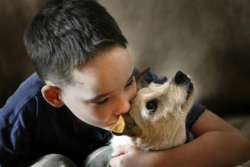 MIKE.DEAL@FREEPRESS.MB.CA 100428 - Wednesday, April 28th, 2010 Cole Hein, 8, with Bingo the dog to be honoured in Purina hall of fame. Bingo was trained to bark when Cole started choking in the middle of the night to wake his parents, so that he could be revived. See Kevin Rollason story MIKE DEAL / WINNIPEG FREE PRESS