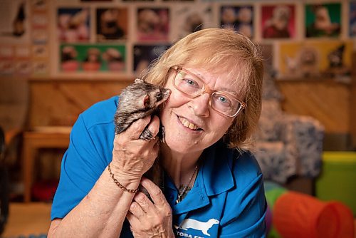 ALEX LUPUL / WINNIPEG FREE PRESS  

Deb Kelley, shelter co-ordinator for the Manitoba Ferret Association No Kill Shelter, is photographed with Cola, one of the ferrets Kelley cares for.